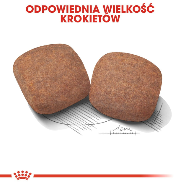Sucha karma dla dorosłych psów ras olbrzymich Royal Canin Giant Adult w wieku powyżej 2 lat 15 kg (3182550703079) (91970) (3009150) - obraz 5