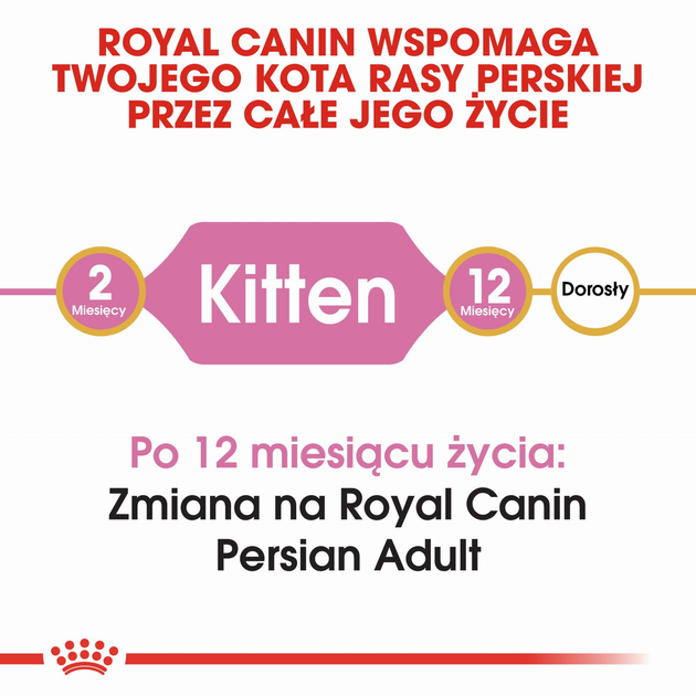 Sucha karma dla kociąt Royal Canin Kitten Persian 400 g (3182550721202) (2554004) - obraz 3