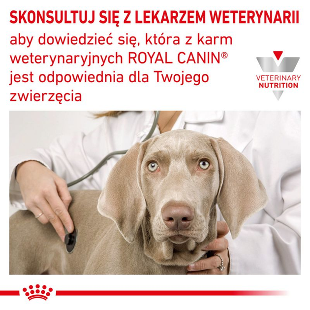 Royal canin hotsell diabetic pies