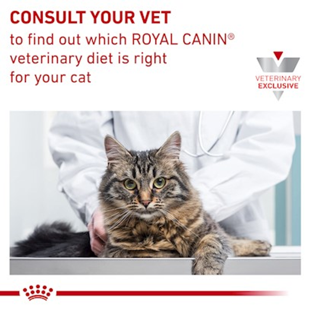 Вологий корм для кішок із проблемами шлунка ROYAL CANIN Vet Gastrointestinal шматочки в соусі 12x85г (9003579013601) - зображення 8