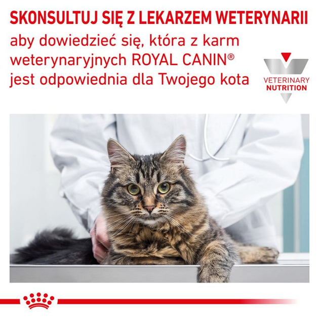 Упаковка вологого корму для дорослих кішок Royal Canin Urinary S/O Cat Loaf 12 х 85 г (9003579010471) - зображення 8