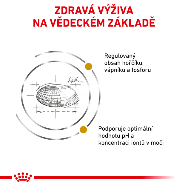 Sucha karma dla dorosłych kotów Royal Canin Urinary S/O Cat 3,5 kg (3182550711050) (39010351) - obraz 4