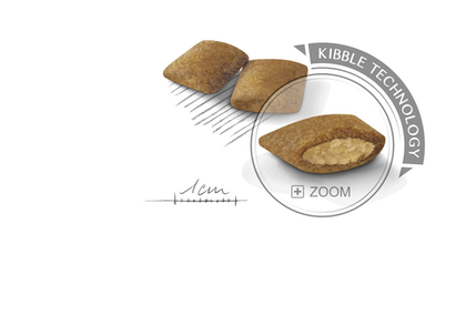 Сухий корм для собак Royal Canin (Роял Канін) Mini Exigent для вибагливих собак 3 кг - Фото 2 Сухий корм для собак Royal Canin (Роял Канін) Mini Exigent для вибагливих собак 3 кг - зображення 2