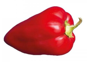 Семена Перец сладкий Носорог, 0,25 г (GL Seeds) - изображение 2