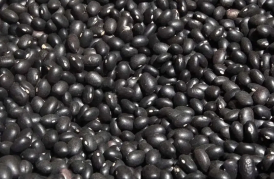 Фасоль чёрная Selecta (Poroto Negro) 500г без ГМО и глютена (573/500) - изображение 4