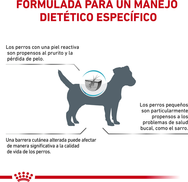 Sucha karma dla psów Royal Canin Vet S na problemy skórne 4 kg (3182550940351) - obraz 5