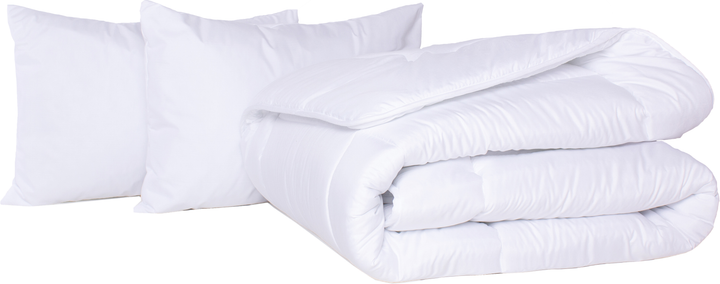 Акция на Набір Mirson №421 Eco Light White Soft Tracery Silk ковдра 172x205 + подушки м'які 50x70 2 шт от Rozetka