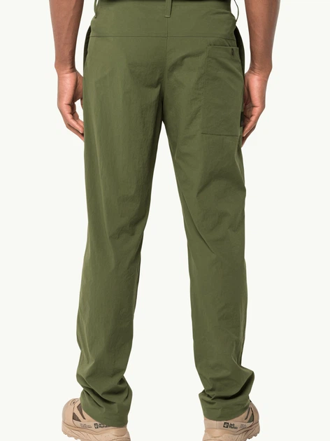 Спортивні штани чоловічі Jack Wolfskin Desert Pants M 1508331-4129 48 ...