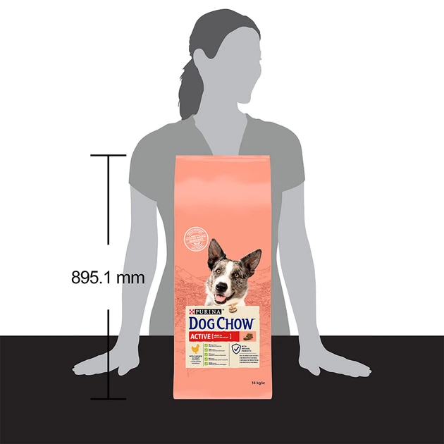 Сухий корм для активних собак всіх порід Dog Chow Active Chicken 14 кг (курка) - Фото 4 Сухий корм для активних собак всіх порід Dog Chow Active Chicken 14 кг (курка) - зображення 4