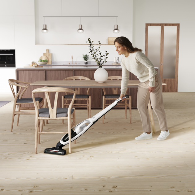 Акумуляторний пилосос Electrolux WQ81-ALRS - зображення 10