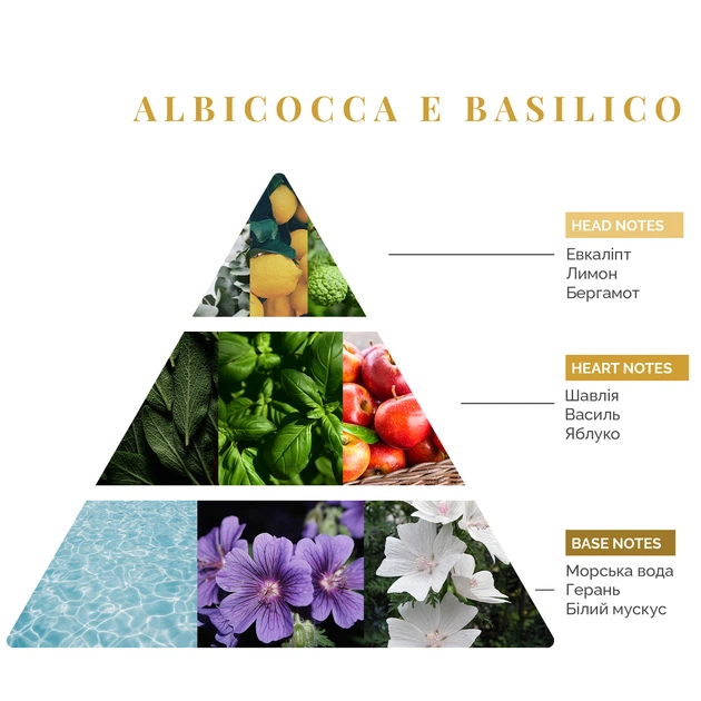 Аромадифузор Logevy Firenze MAGNUM 3000 ML Albicocca e Basilico (Абрикос & Базилік) (LOG0134) - изображение 2