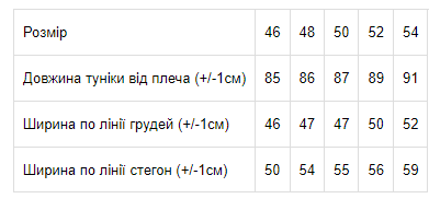 Туніка-сорочка жіноча Носи своє 52 Фіолетовий (p-3473-195961) - зображення 2