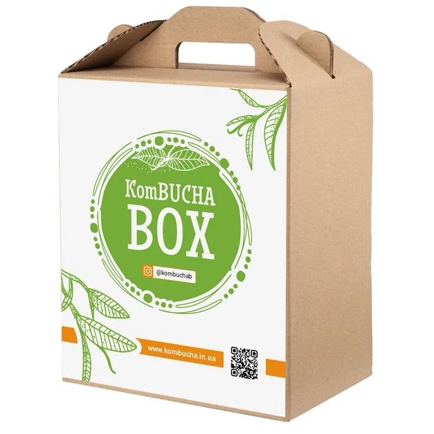 Набор для приготовления Комбучи минимальный KomBUCHA BOX LITE от