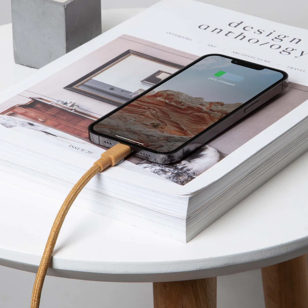 Кабель синхронизации Native Union Belt 3m Cable XL USB-C to Lightning, Kraft (BELT-CL-KFT-3-NP) - изображение 3