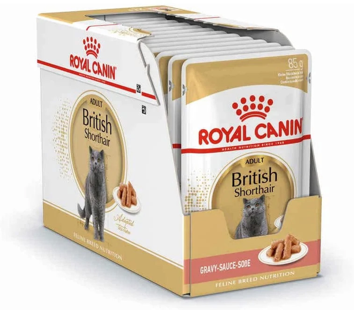 Вологий корм для дорослих кішок Royal Canin British Shorthair Adult 12 x 85 г (9003579001240) - зображення 1