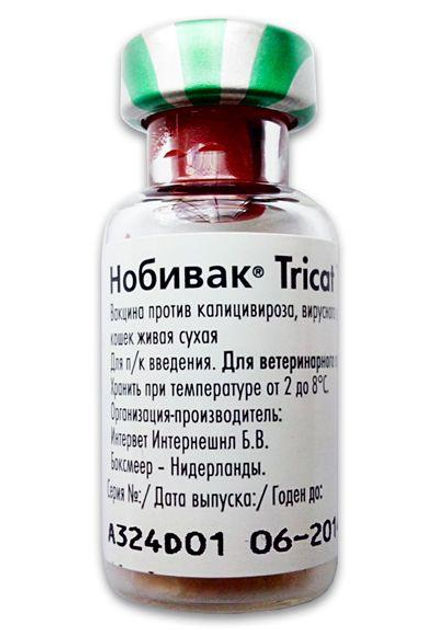 Нобивак Трикет ТРИО, Intervet (Без растворителя) - 1 доза – фото ...