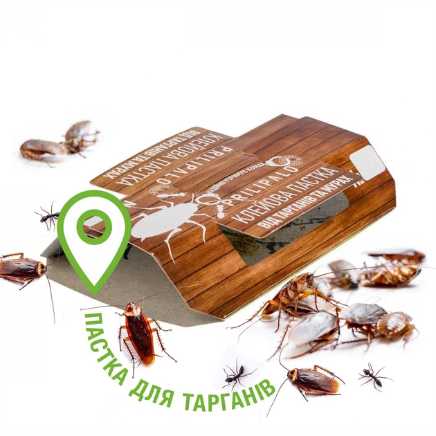 Клеевая ловушка от тараканов СПК Ликвидатор Прилипало 1шт – фото ...