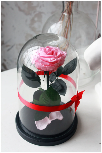 Троянда в колбі під скляним куполом яскрава ніжно рожева Rose of Love стабілізована квітка вічна троянда 16 см Pink + Кулон "Я Люблю Тебе" ста мовами світу - зображення 5