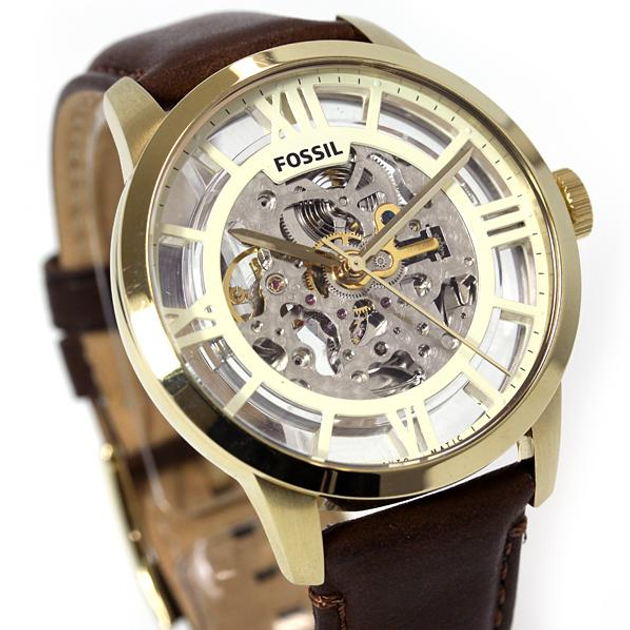 Me3043 fossil new arrivals