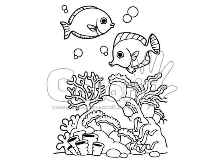 Раскраски рыбок и морских обитателей для малышей
