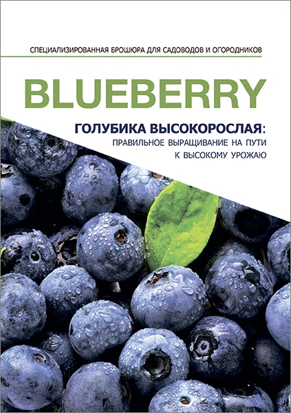 Специализированная брошюра "Голубика высокорослая" - Фото 1 Специализированная брошюра "Голубика высокорослая" - изображение 1