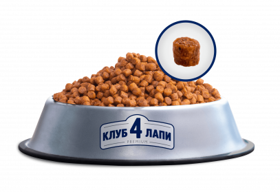 Сухой корм с Курицей для котят 5 кг CLUB 4 PAWS Клуб 4 Лапы - Фото 4 Сухой корм с Курицей для котят 5 кг CLUB 4 PAWS Клуб 4 Лапы - изображение 4