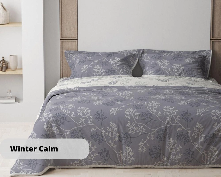 Акція на Комплект постільної білизни ТЕП Полуторний 150 x 215 см Happy Sleep Winter Calm від Rozetka