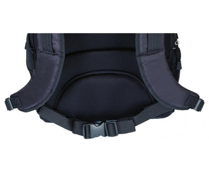 Рюкзак для ноутбука Targus Campus Backpack 16" Black – фото, отзывы ...