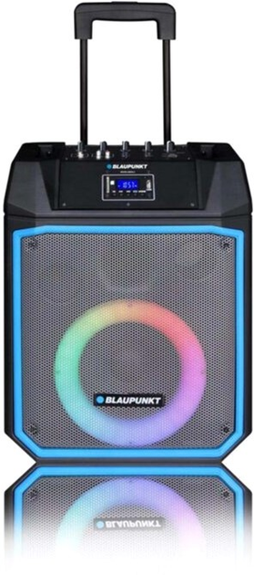 Głośnik przenośny Blaupunkt MB08.2 600 W Black (MB08.2) - obraz 11