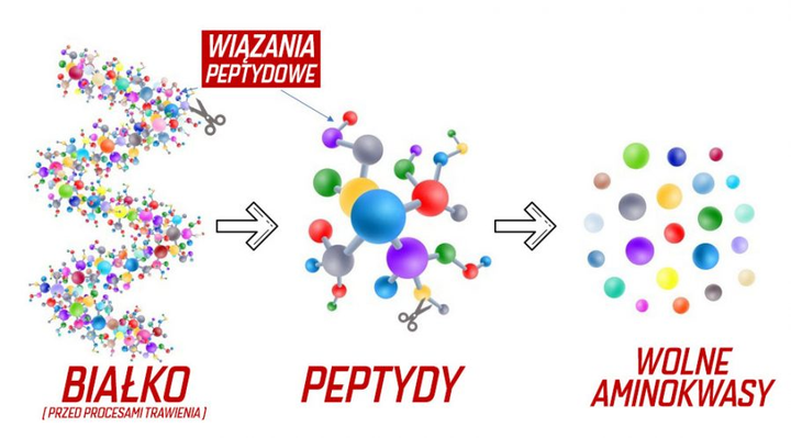 Protein Amix Hydro Beef Protein 2000 g Kawa Czekoladowa (8594159538429) - obraz 9
