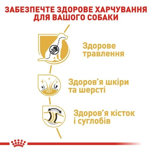 Сухой корм Royal Canin German Shepherd Adult для собак породы немецкая овчарка от 15 месяцев, 11 кг (2518110) - Фото 4 Сухой корм Royal Canin German Shepherd Adult для собак породы немецкая овчарка от 15 месяцев, 11 кг (2518110) - изображение 4