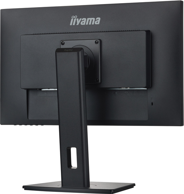 Monitor 24" iiyama ProLite XUB2492HSN-B5 - obraz 10