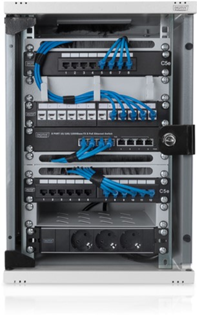 Шафа настінна серверна Digitus Professional 10" зі скляними дверима 9U Сірий (DN-10-09U) - зображення 5