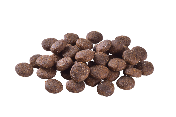 Корм для молодых собак больших пород Brit Care Dog Grain-free Junior Large Breed беззерновой с лососем, 3 кг 172200 - изображение 3