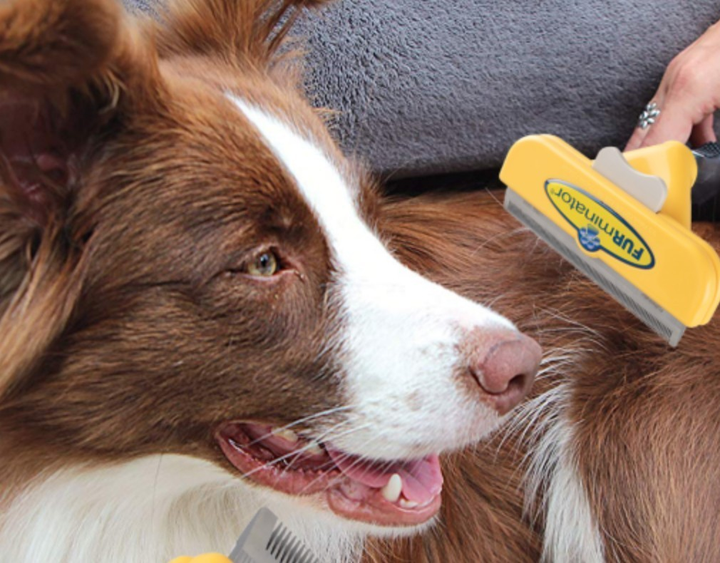 FURminator с кнопкой для собак с длинной шерстью - Размер L 100*8 мм от ...