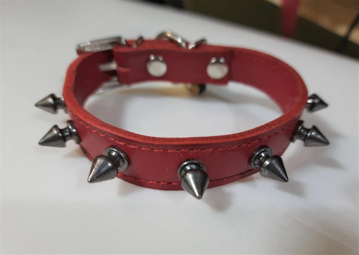 Ошейник с шипами Lockdog M(30-44 см) (zoo0005294) - изображение 3