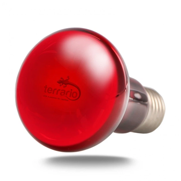 Инфракрасная нагревательная лампа Terrario Nangola Red Night Light 50W - изображение 2