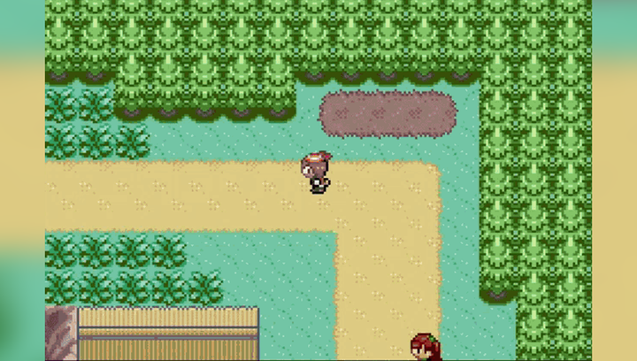 Гра Nintendo Game Boy Advance Pokemon Ruby Version Французька Версія Тільки Картридж Б/У - зображення 4