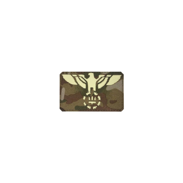 Шеврон на липучке Laser Cut UMT Орёл с гербом 80х50 мм Люминисцентный Мультикам - изображение 1