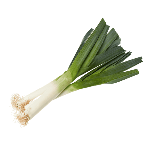 Семена Лук порей, 1 г (GL Seeds) - Фото 4 Семена Лук порей, 1 г (GL Seeds) - изображение 4