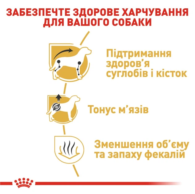 Сухий корм для собак Royal Canin Dachshund Adult 1,5 кг - изображение 3