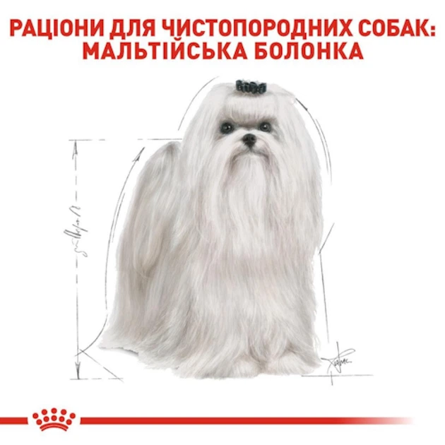 Cухий корм для собак Royal Canin Maltese Adult 1,5 кг - изображение 4