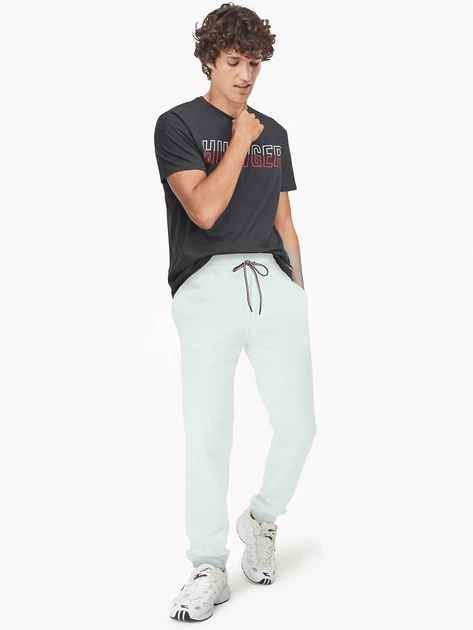 Спортивные штаны утепленные мужские Tommy Hilfiger 124180369 2XL Серые (1159782437) - Фото 3 Спортивные штаны утепленные мужские Tommy Hilfiger 124180369 2XL Серые (1159782437) - изображение 3
