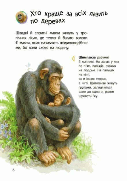 Енциклопедія дошкільника (нова) : Тварини - Фото 7 Енциклопедія дошкільника (нова) : Тварини - изображение 7