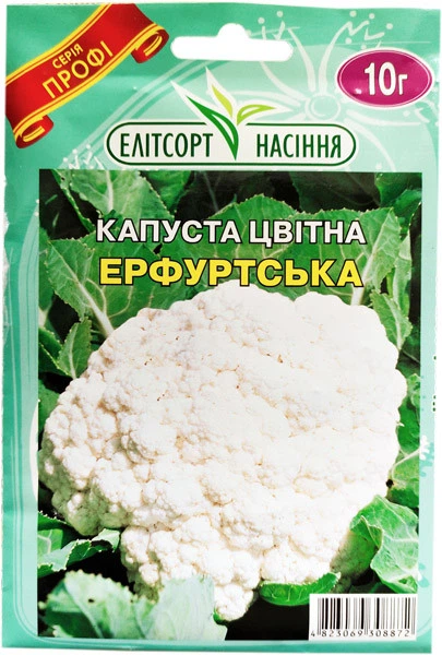 Семена цветной капусты Эрфуртская 10 г среднеранняя Элитсортсемена - Фото 1 Семена цветной капусты Эрфуртская 10 г среднеранняя Элитсортсемена - изображение 1