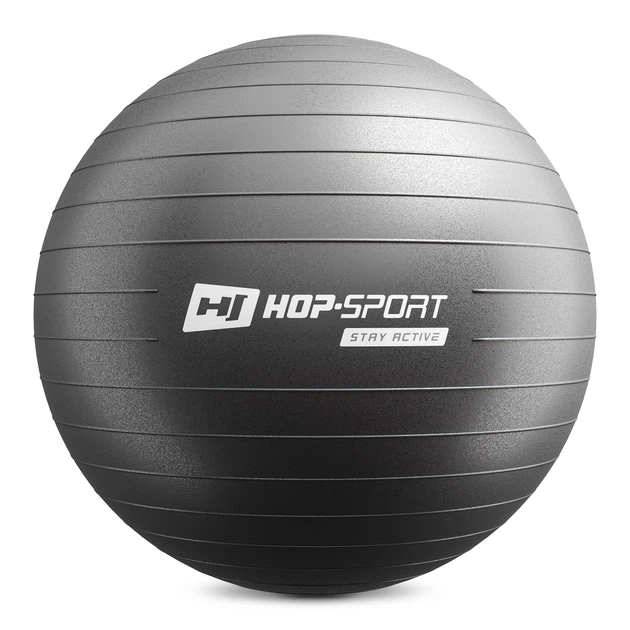 Фитбол Hop-Sport 55см черный + насос 2020 - Фото 2 Фитбол Hop-Sport 55см черный + насос 2020 - изображение 2