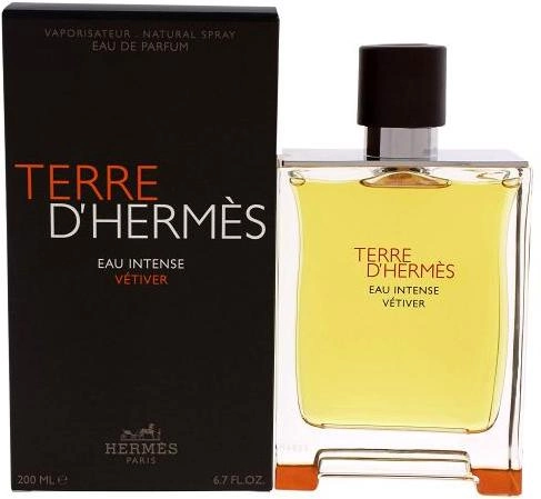 Woda perfumowana męska Hermes Terre D'Hermes Eau Vetiver Intense 200 ml (3346131431625) - obraz 1