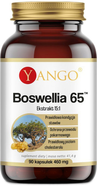 Yango Boswellia 65Tm 60 tabletek Kadzidłowiec (5904194063177) - obraz 1