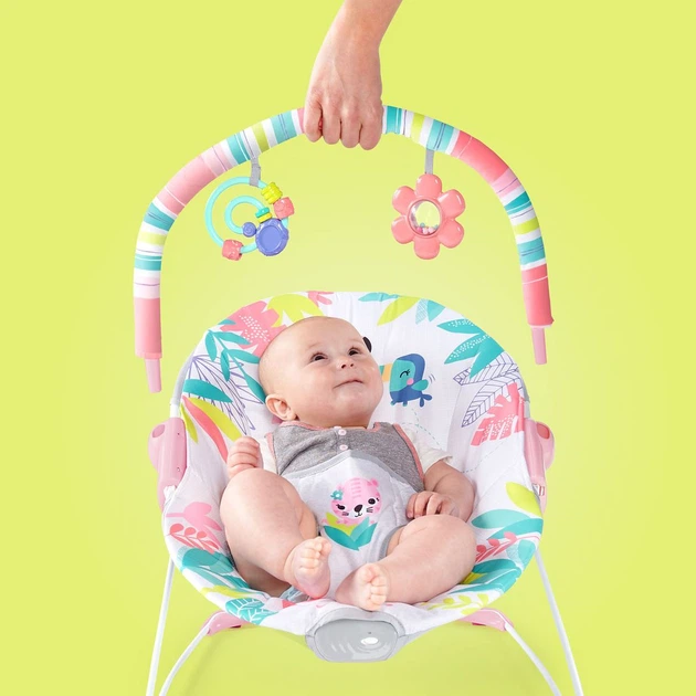 Шезлонг Bright Starts Flamingo Vibes (12228) (074451122284) - зображення 6