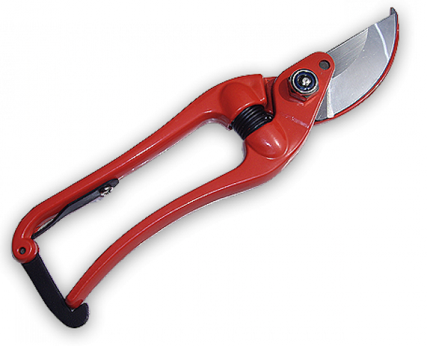 Секатор садовый Bradas RG LINE 8" PROFI нержавеющая сталь KT-RG1027/8 - Фото 1 Секатор садовый Bradas RG LINE 8" PROFI нержавеющая сталь KT-RG1027/8 - изображение 1
